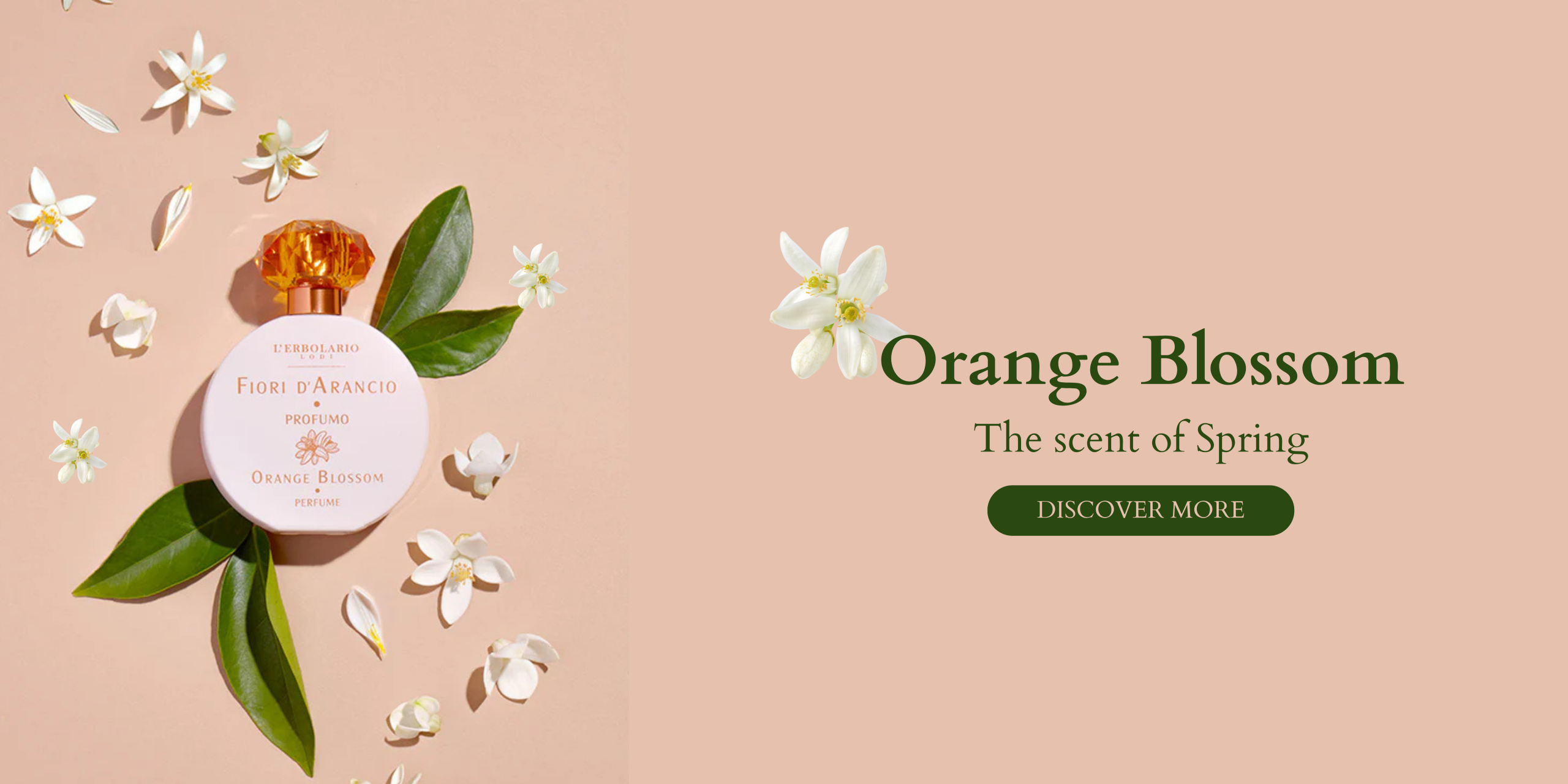 BannerOrangeBlossomΑΓΓ